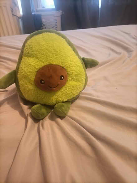 Photo of free Avocado Plushies (Camberley GU15) #3