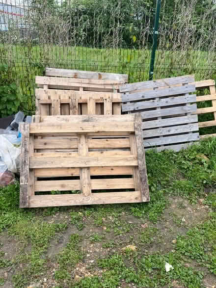 Photo of free Pallets (TW16 Sunbury on Thames) #1