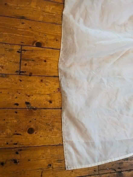 Photo of free Shower curtain + rings (Turnpike Lane N15) #4