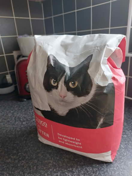 Photo of free Cat litter (opened bag) (Murrow) #1