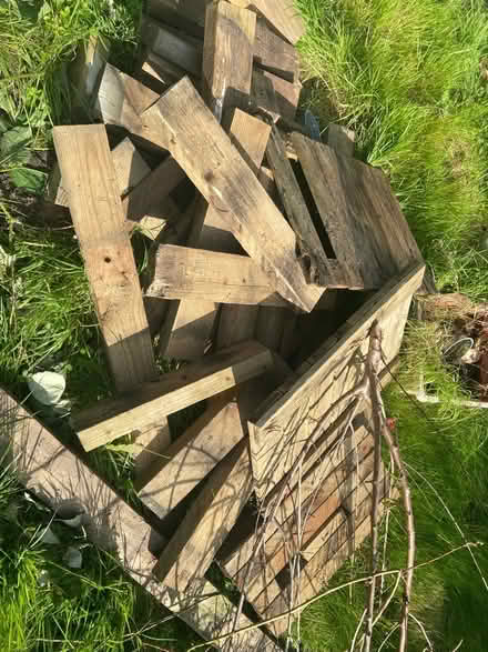 Photo of free wood (Billericay) #1