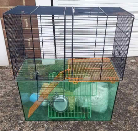Photo of free Gerbil cage (Horley) #1
