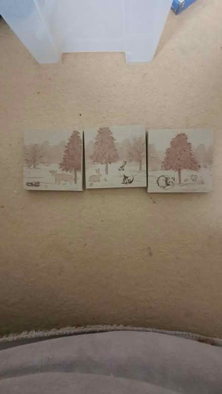 Photo of free Picture frames set (thornton heath) #1
