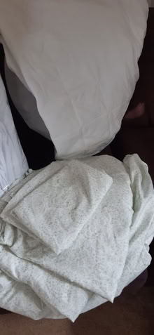 Photo of free Bedding for a king sized bed. (Shepshed LE12) #1