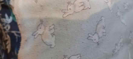 Photo of free Baby sleeping bag 0-6months 2.5 tog (PO19) #3