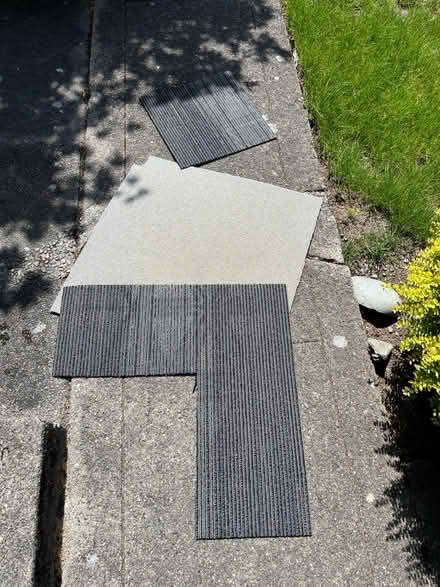Photo of free Random carpet scraps (Ballard) #1