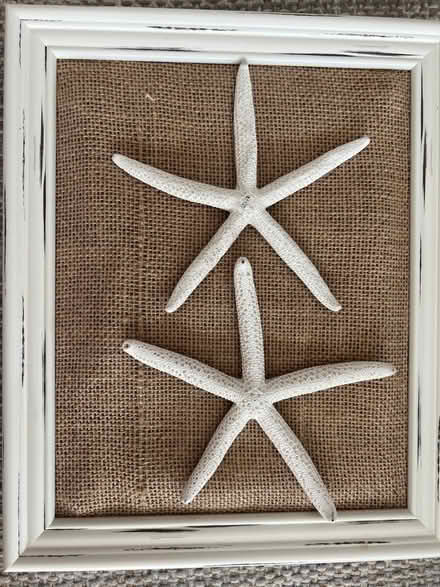 Photo of free Decorative shell pictures (Oak Island - west beach drive) #3
