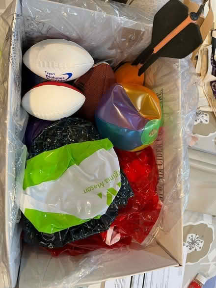Photo of free Various Fun Balls (Ballard) #1
