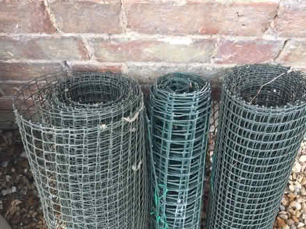 Photo of free Some plastic garden netting (luton LU3) #2