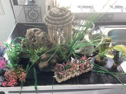 Photo of free Various aquarium accessories (Grantham NG33) #1