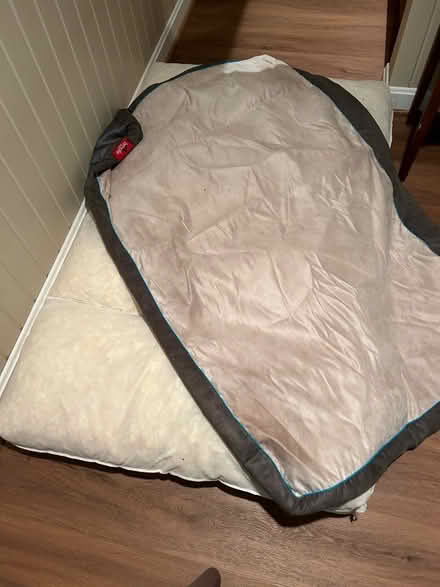 Photo of free Extra large dog bed (Hillandale in Silver Spring) #1