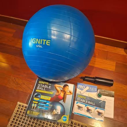 Photo of free Weighted fitness ball (Rainier Beach, Seattle) #1