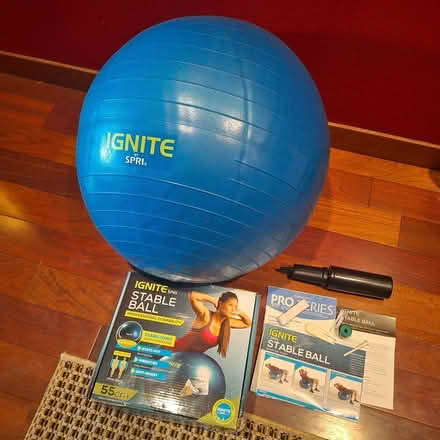 Photo of free Weighted fitness ball (Rainier Beach, Seattle) #1