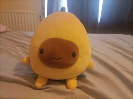 Photo of free Avocado Plushies (Camberley GU15) #1