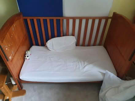 Photo of free Cot Bed (Wallington, SM6) #2