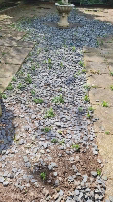 Photo of free Any Gardeners, or anyone...want any blue slate? (Short Heath B23) #1