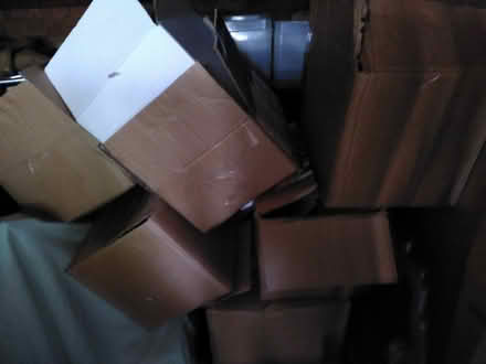 Photo of free Robust cardboard boxes (Epping CM16) #1