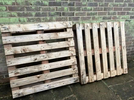 Photo of free Two pallets (SO16 Southampton) #1