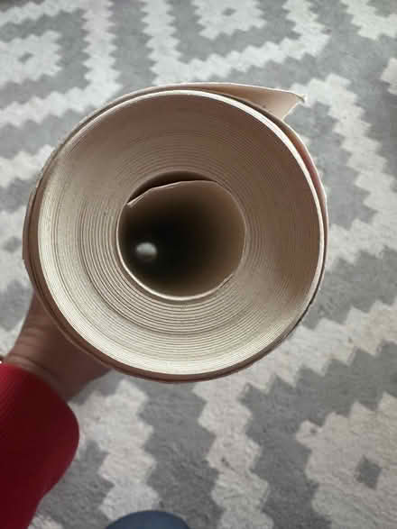 Photo of free One roll unicorn wallpaper (Nr East Grinstead) #3