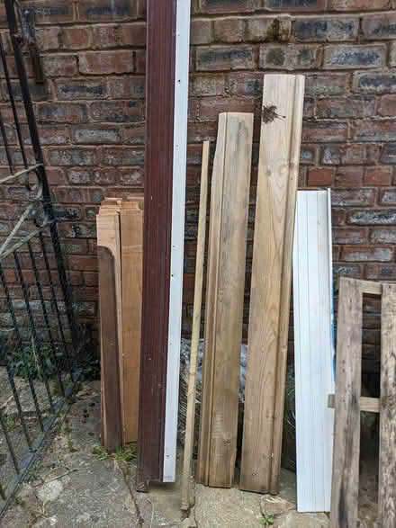 Photo of free plywood strips and others stuff (L8) #1