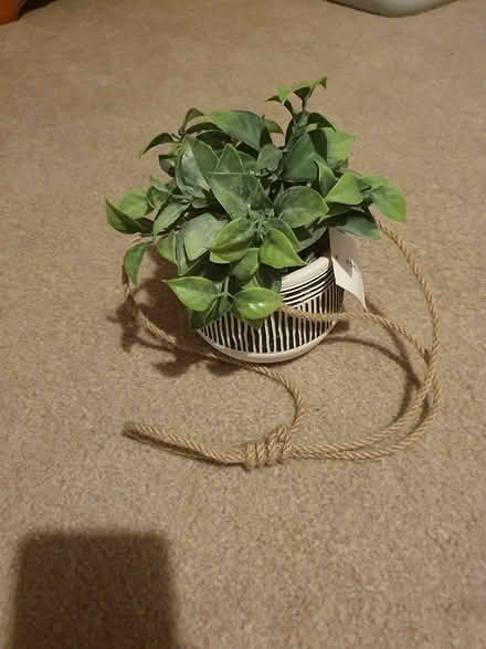 Photo of free Faux plant in hanging ceramic pot (Alderton) #1