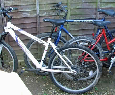 Photo of free 3 bikes (Swanton Morley NR20) #3