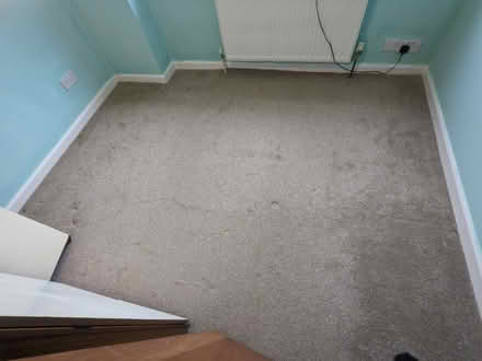 Photo of free Carpet (Holt Park LS16) #1