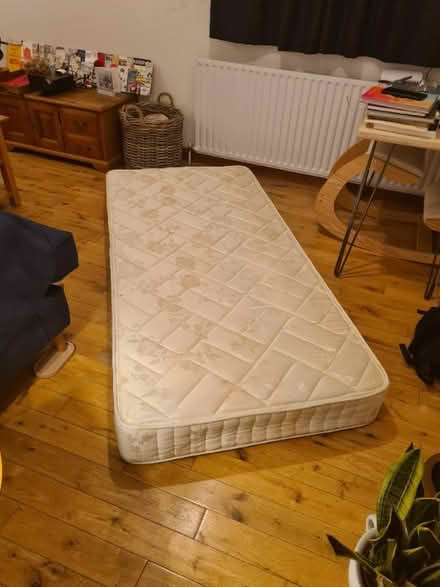Photo of free Single Mattress (Hertford SG13) #3