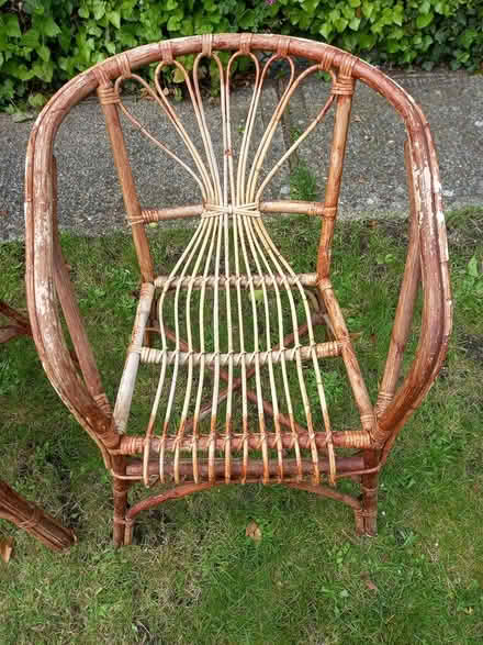 Photo of free 2 Wood/Cane Garden Chairs (Hitchin SG4) #2