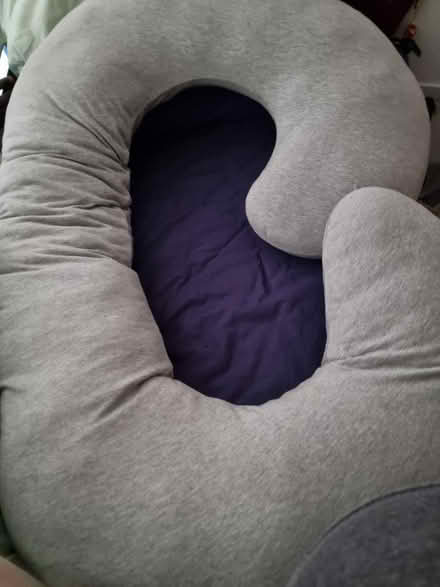 Photo of free Pregnancy pillow (EH6 Pillans Walk) #1