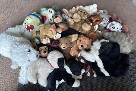 Photo of free Soft toys (Long Eaton, Nottingham.) #1