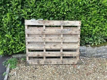 Photo of free Wooden pallet (GL5) #1