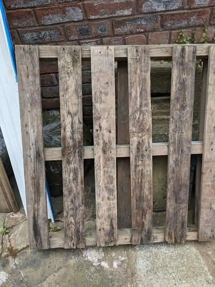 Photo of free plywood strips and others stuff (L8) #3