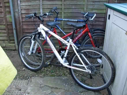 Photo of free 3 bikes (Swanton Morley NR20) #4