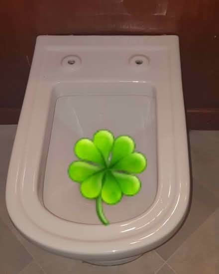 Photo of A new toilet seat (Strathmiglo KY14) #1