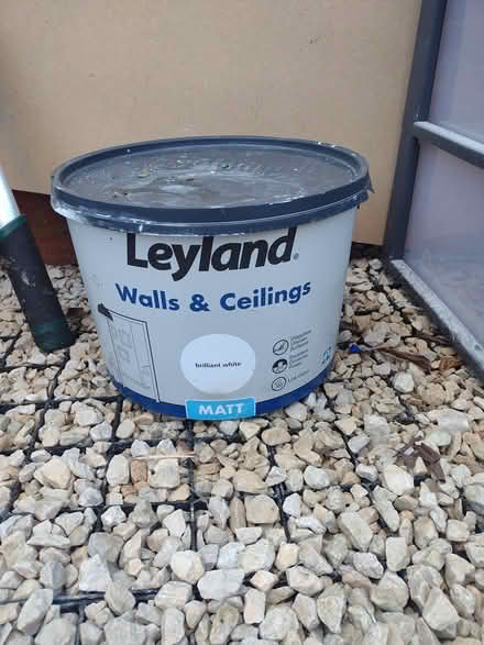 Photo of free White paint (Shenley Brook End MK5) #1