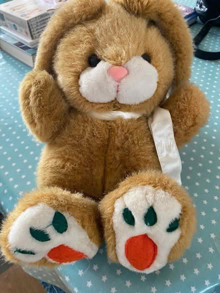 Photo of free Big cuddly teddy (Hale End E4) #1