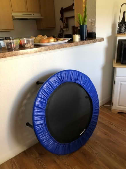Photo of free Rebounder (12th St & IRB, Vero Beach) #2