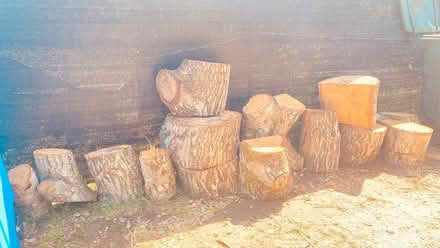 Photo of free Firewood (Woodacre, CA) #3