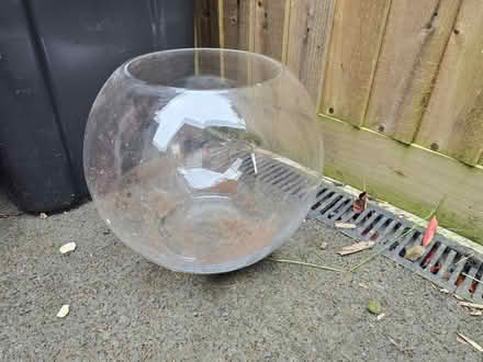 Photo of free Glass Terrarium (DE11 Blackfordby) #1