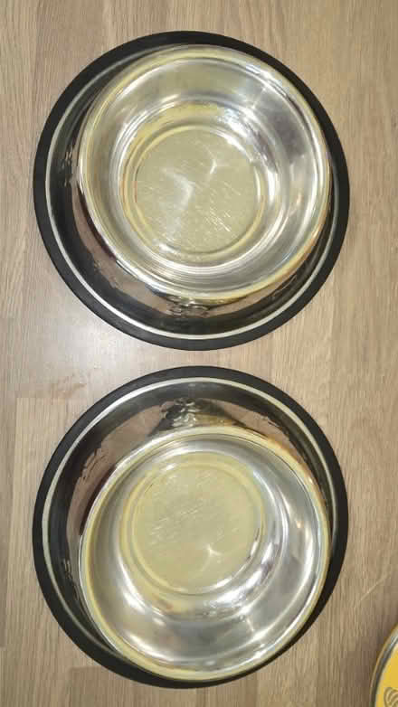 Photo of free Non slip dog food bowls (Parkwood Rainham ME8) #2