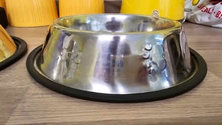 Photo of free Non slip dog food bowls (Parkwood Rainham ME8) #1