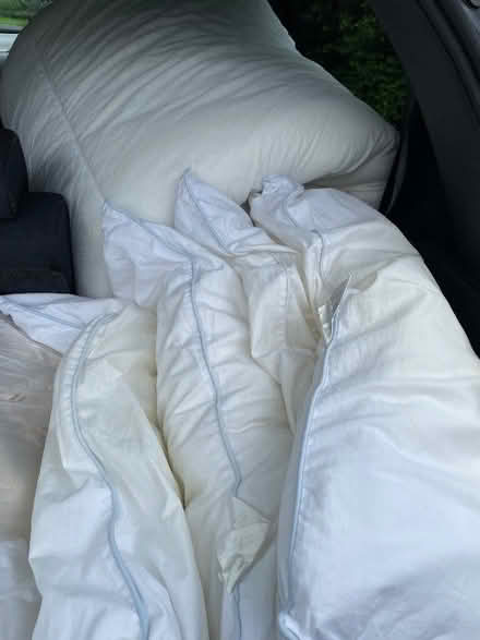 Photo of free Duvet & pillows (Carlisle CA1) #1