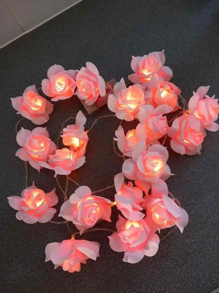 Photo of free Rose Fairy Lights (CT10) #2