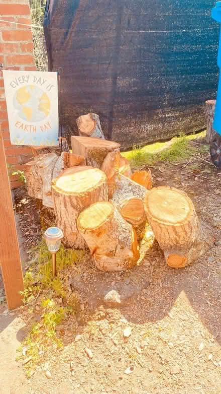 Photo of free Firewood (Woodacre, CA) #1