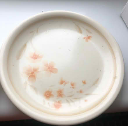 Photo of free Cups, saucers and side plates SS6 (Rayleigh SS6) #1