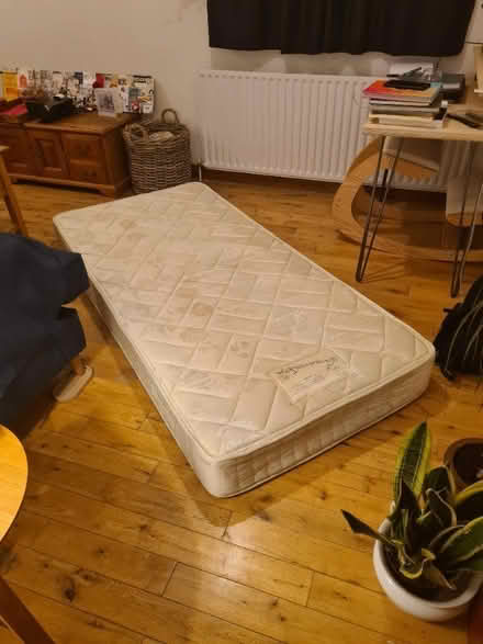 Photo of free Single Mattress (Hertford SG13) #1