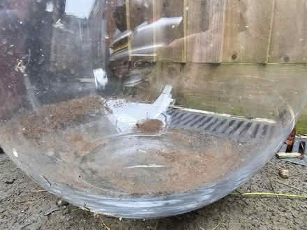 Photo of free Glass Terrarium (DE11 Blackfordby) #2
