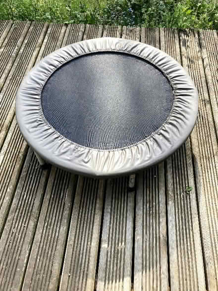 Photo of free Exercise Trampoline (Stoke Holy Cross NR14) #1