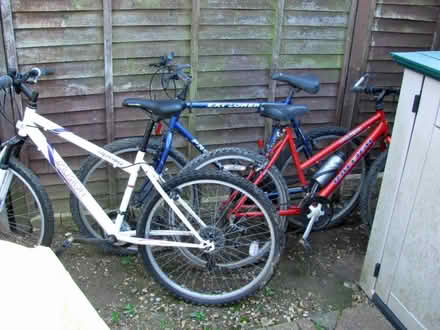 Photo of free 3 bikes (Swanton Morley NR20) #2